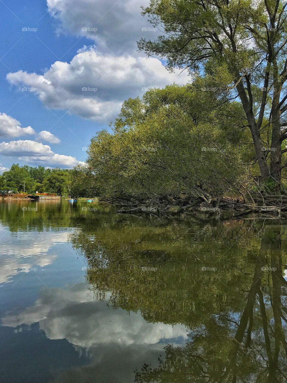 Buffalo river