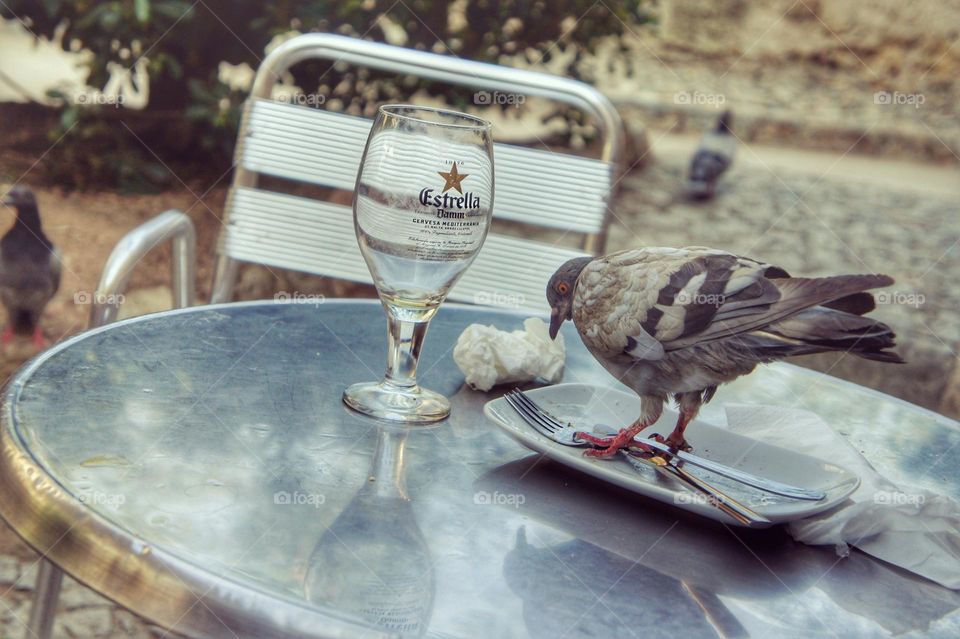 The lunch is served!