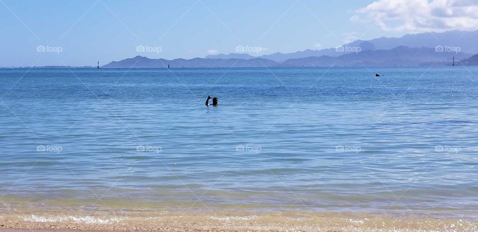 Oahu waters