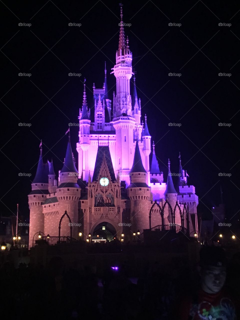 Cinderella's Castle