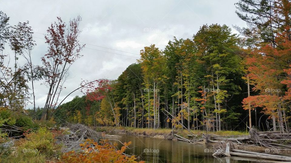 Saco River