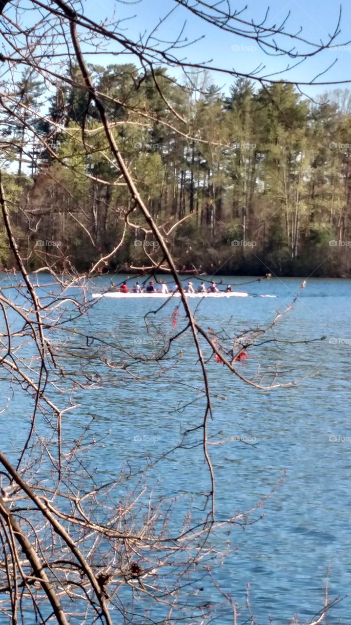 Tree, Water, Landscape, Nature, Season