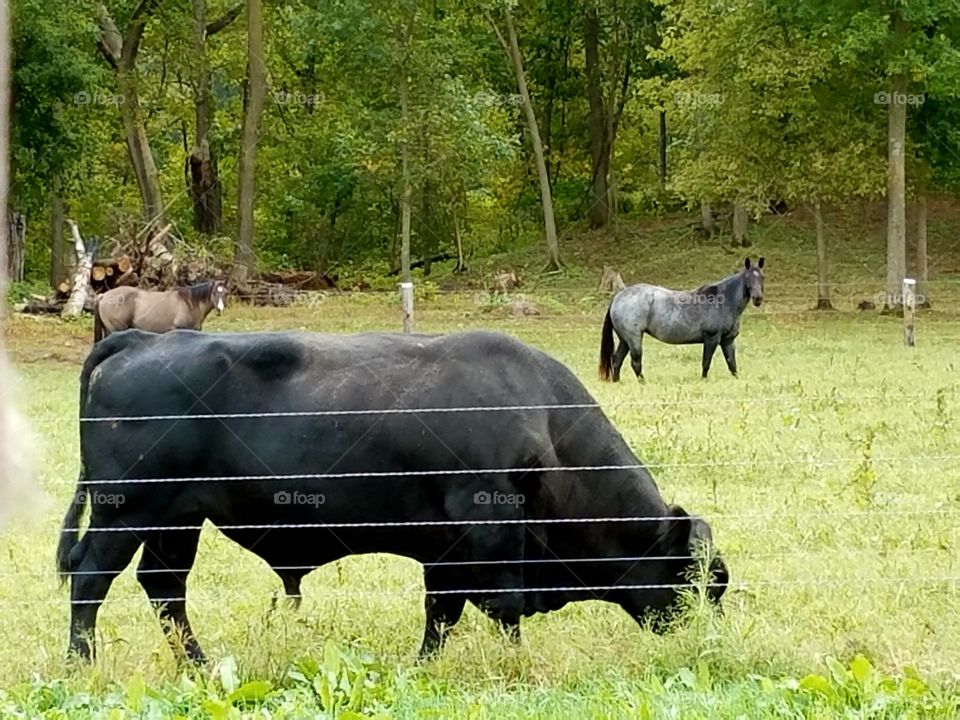 Driving the Back Roads and enjoying everything around us