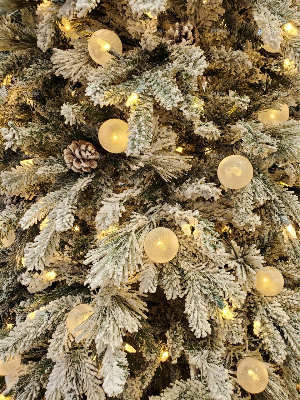 Christmas Tree of Snow and Lights