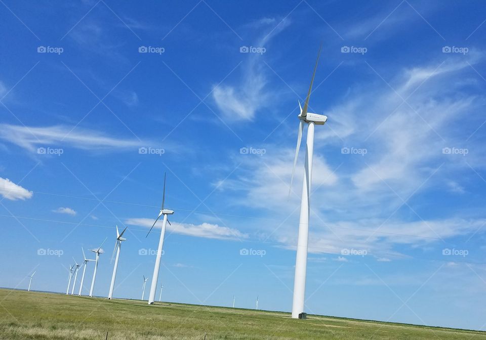 Windy Grasslands