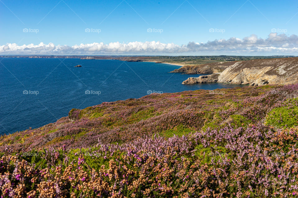 beautiful cliffs at the French coast