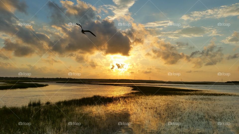 King tide sunset