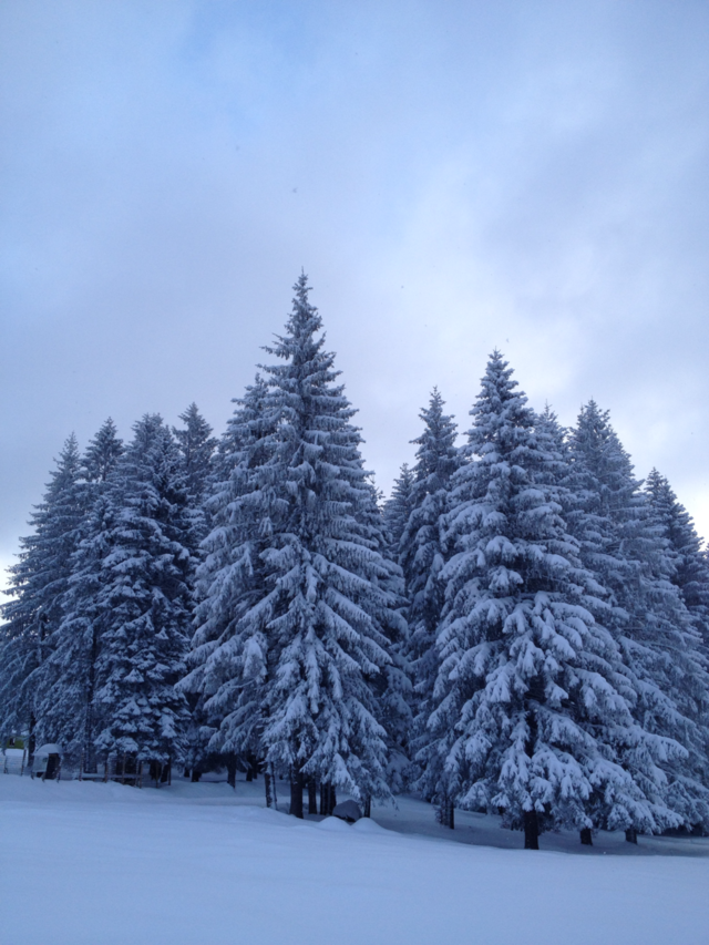 winter