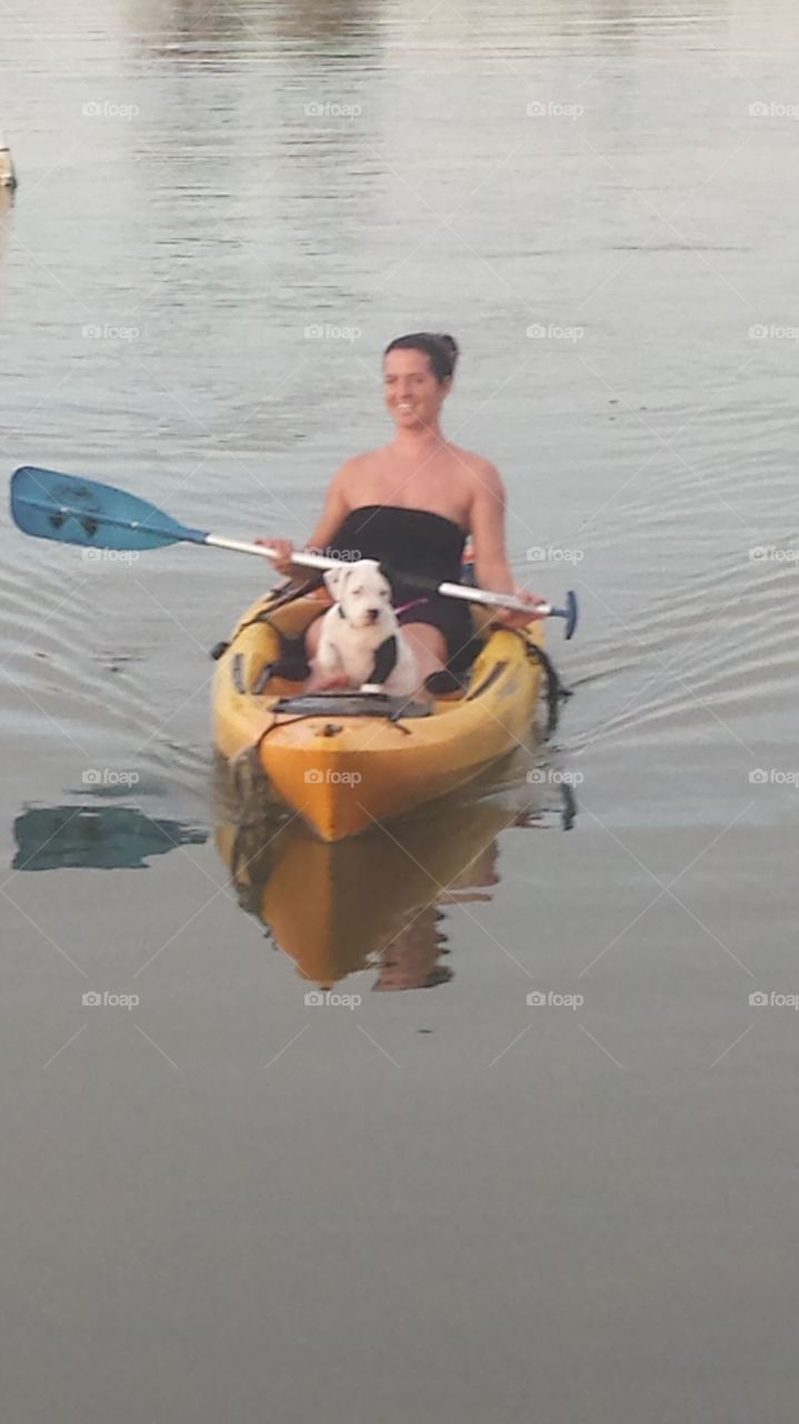 Boat dog. Gauge leading the way
