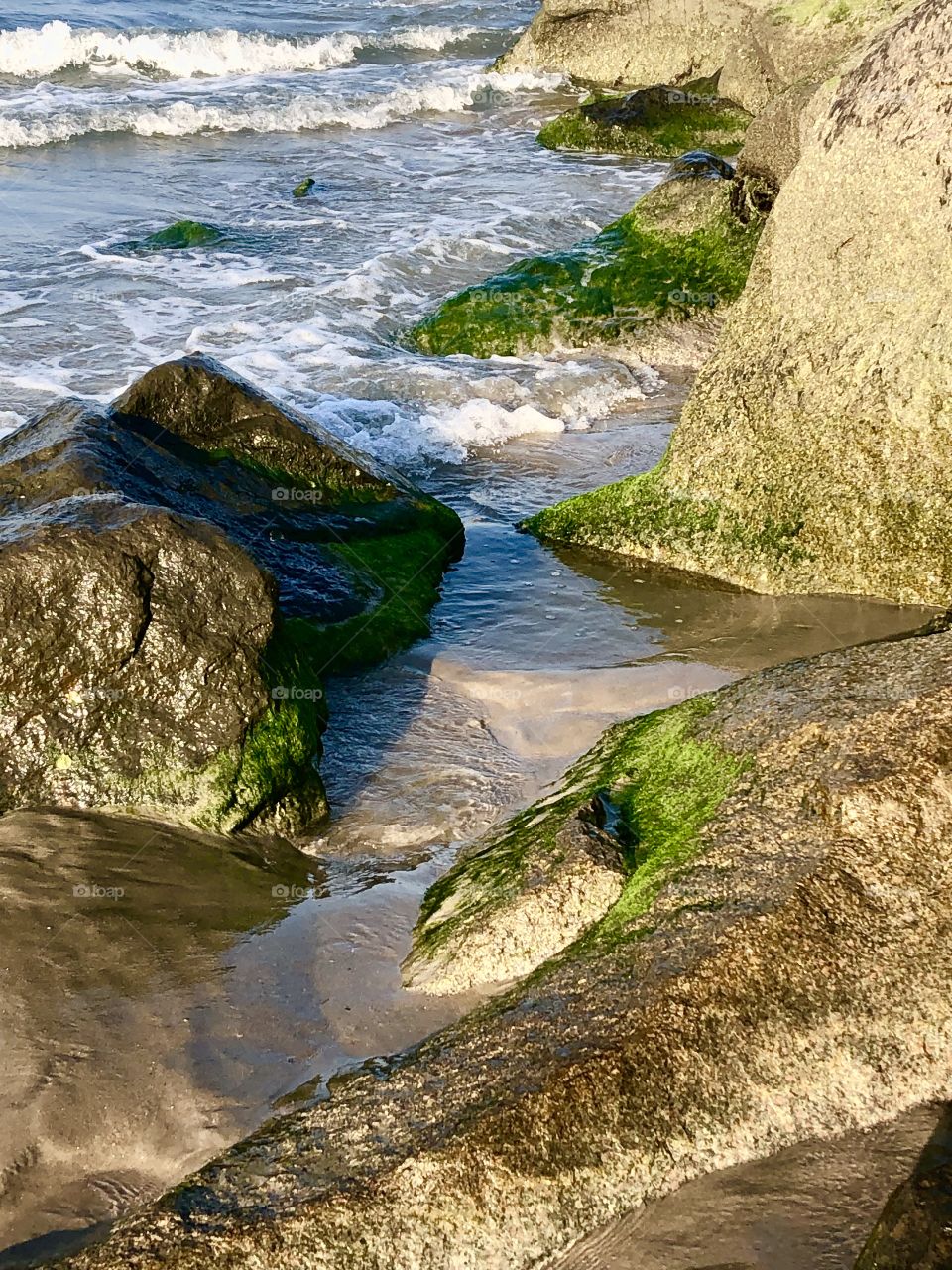 Rocks on the shore