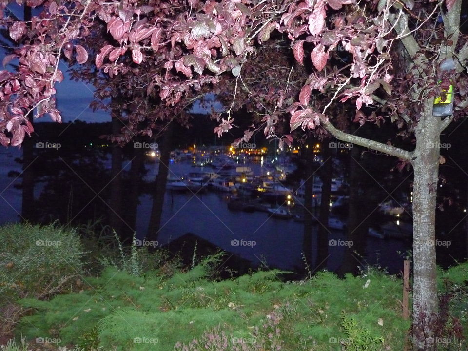 Playing with light in a view of Ganges Harbour on Salts Spring Island in British Columbia On a summer’s evening 