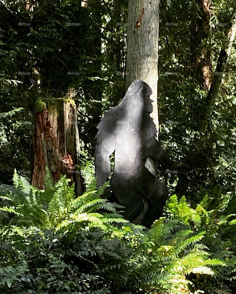 Bigfoot appears on the trail