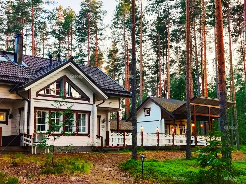 cottage view , 🪟 trees , summer , beautiful