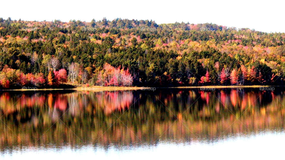 Fall in Canada