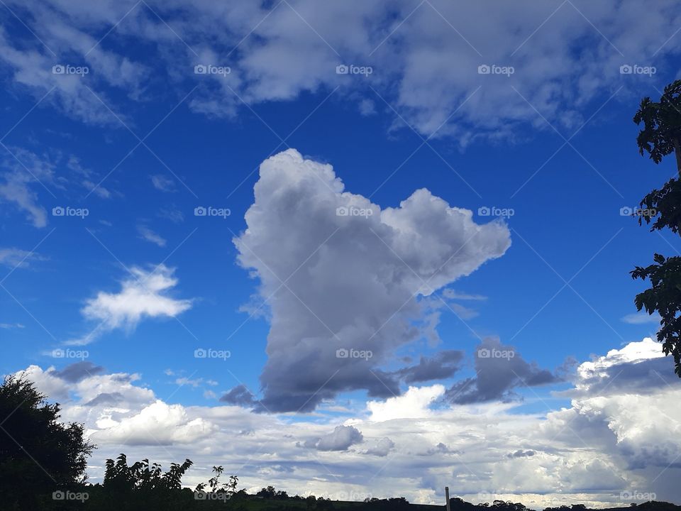The cloud almost turned into a heart.