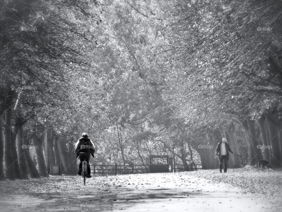 trees park blackandwhite walking by Raid1968