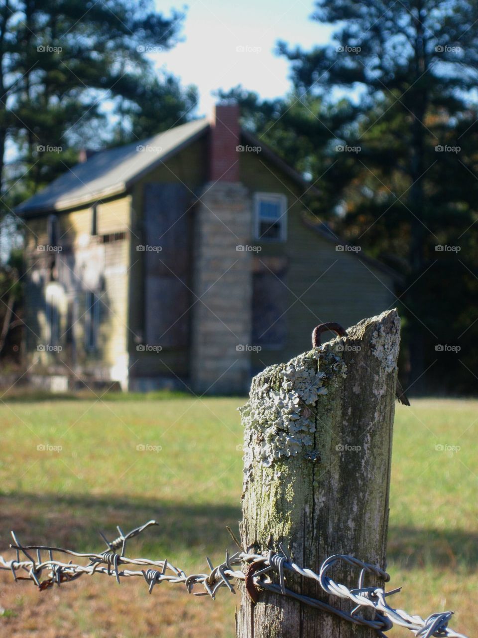 rustic fence and farm