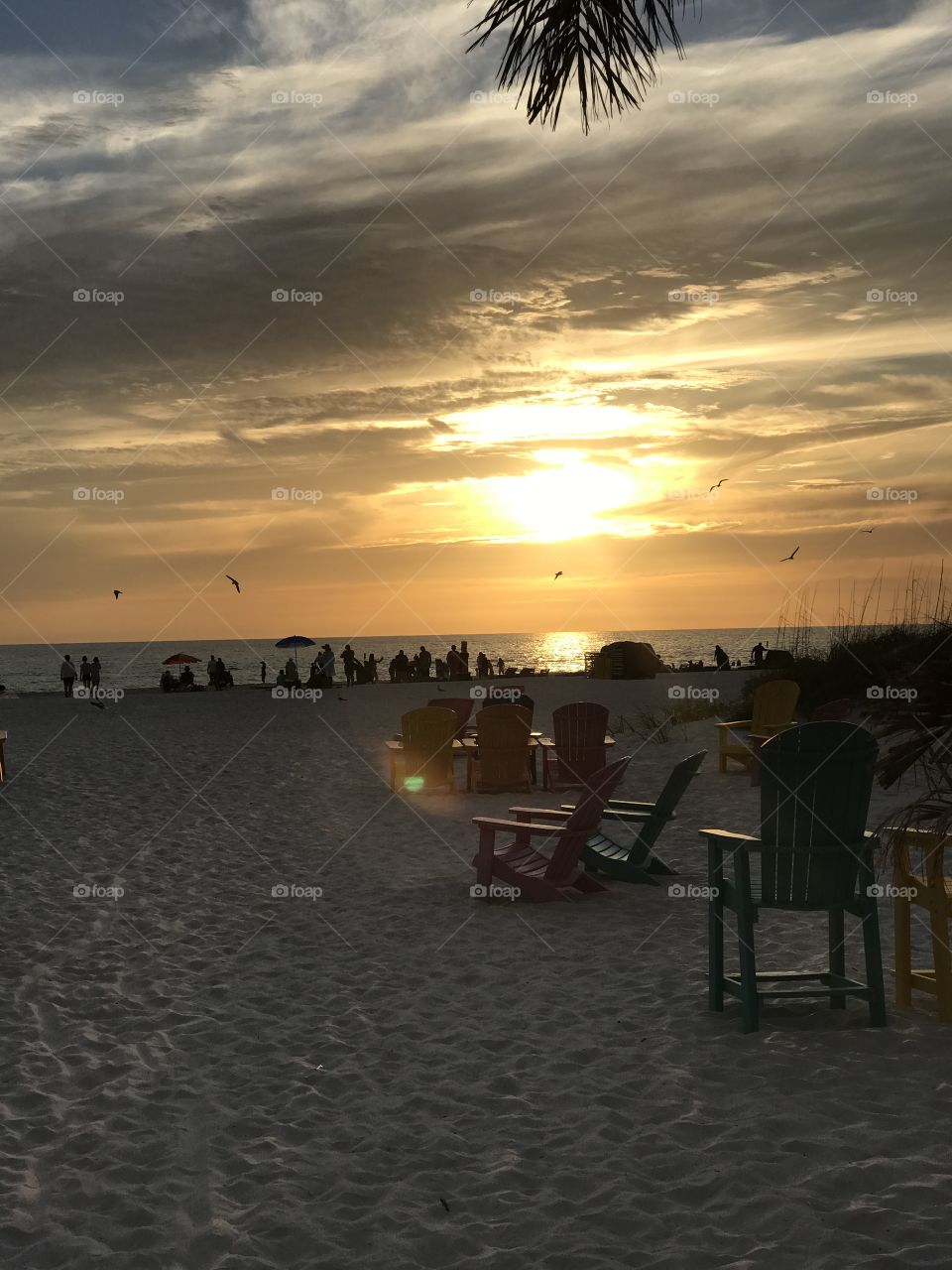 Florida's sunset on the beach 