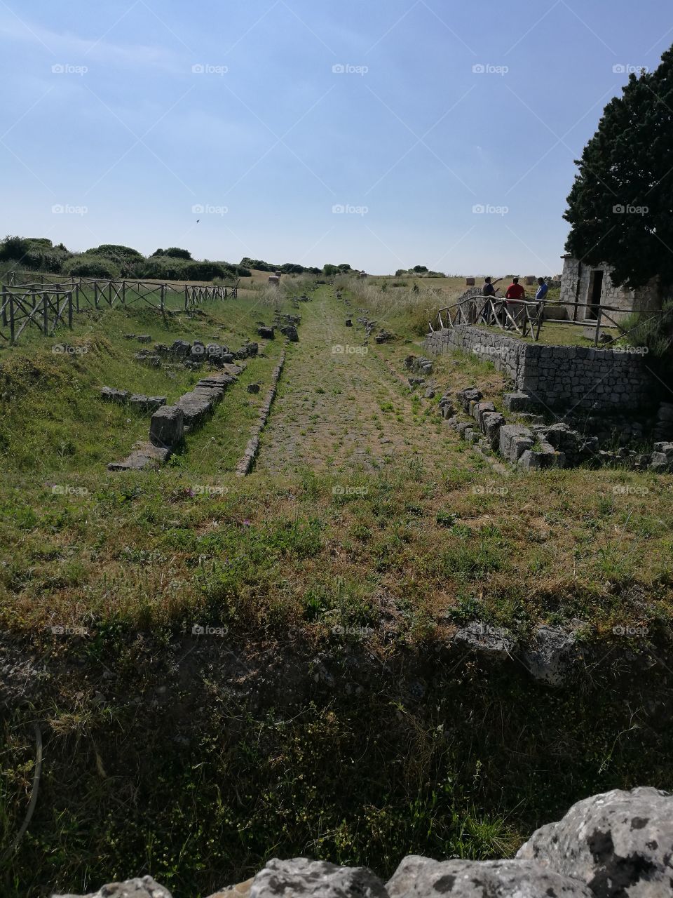 Ancient greek road, sicily