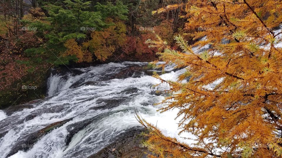 River rapids