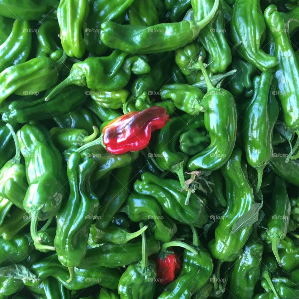 Peppers green red