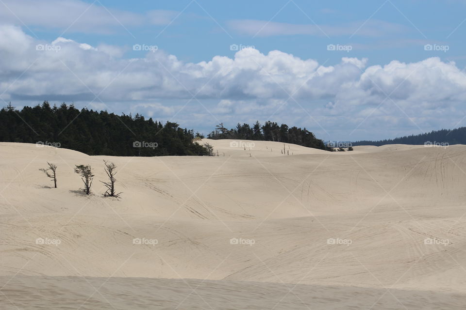 View of sand dunes