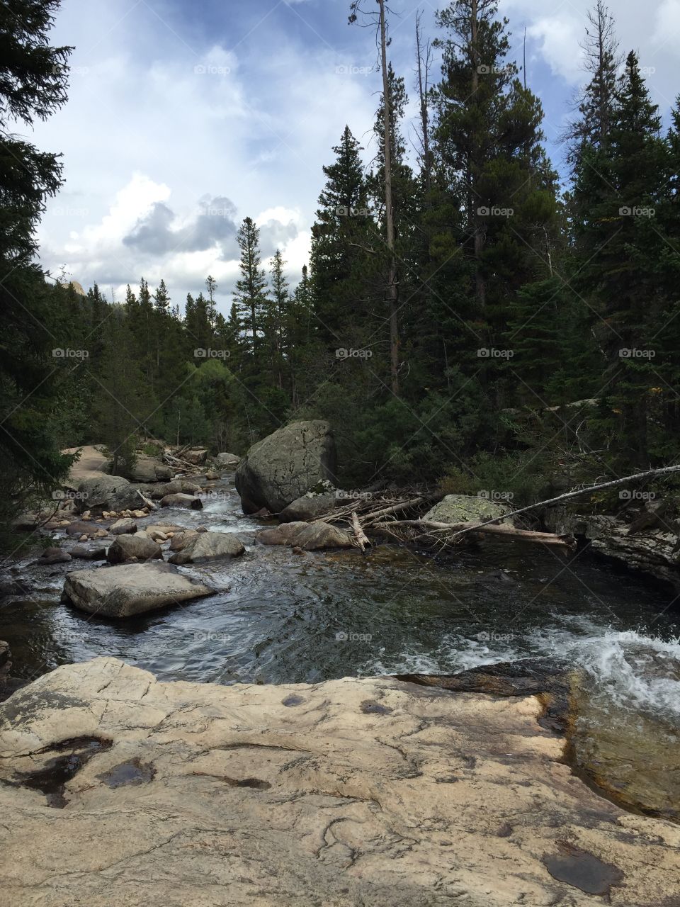 Colorado River 