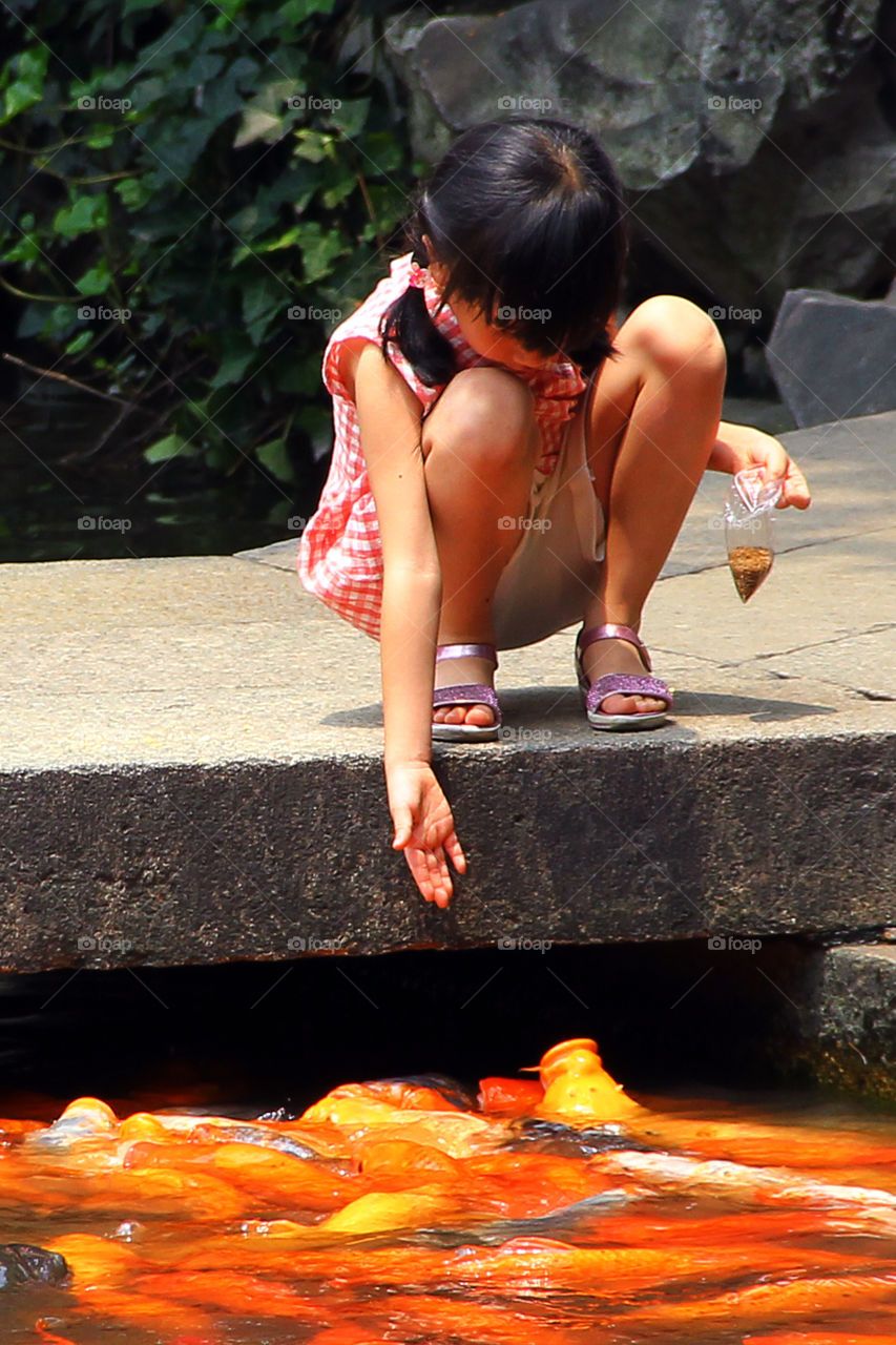 feeding the fish. A little Chinese girl was feeding the koi fishes in yuyuan garden in Shanghai China.