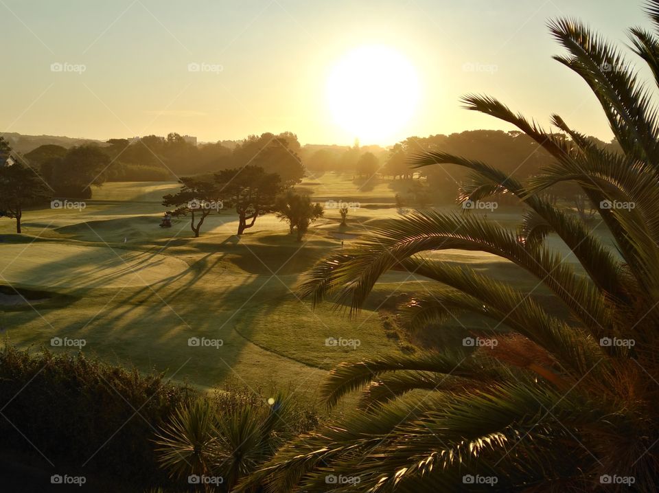 Morgen über dem Golfplatz