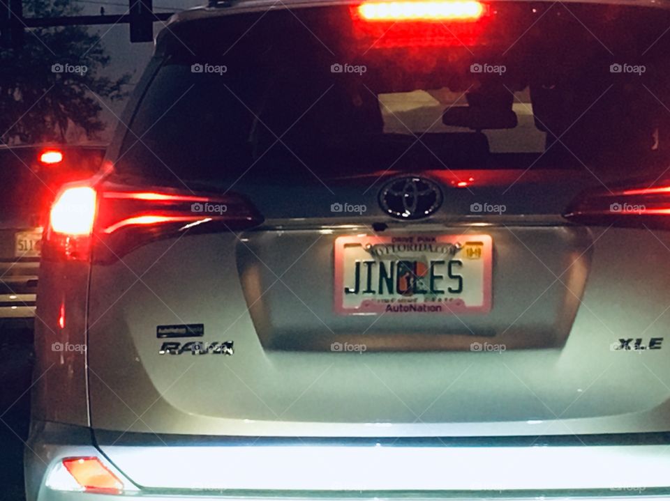 Unique Florida license plate - JINGLES 