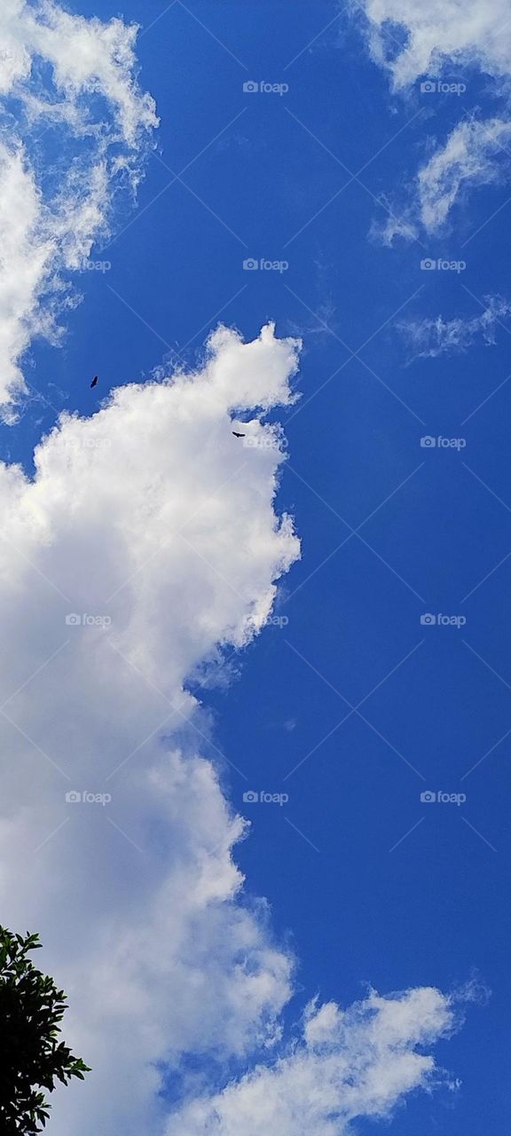 cloud in the sky