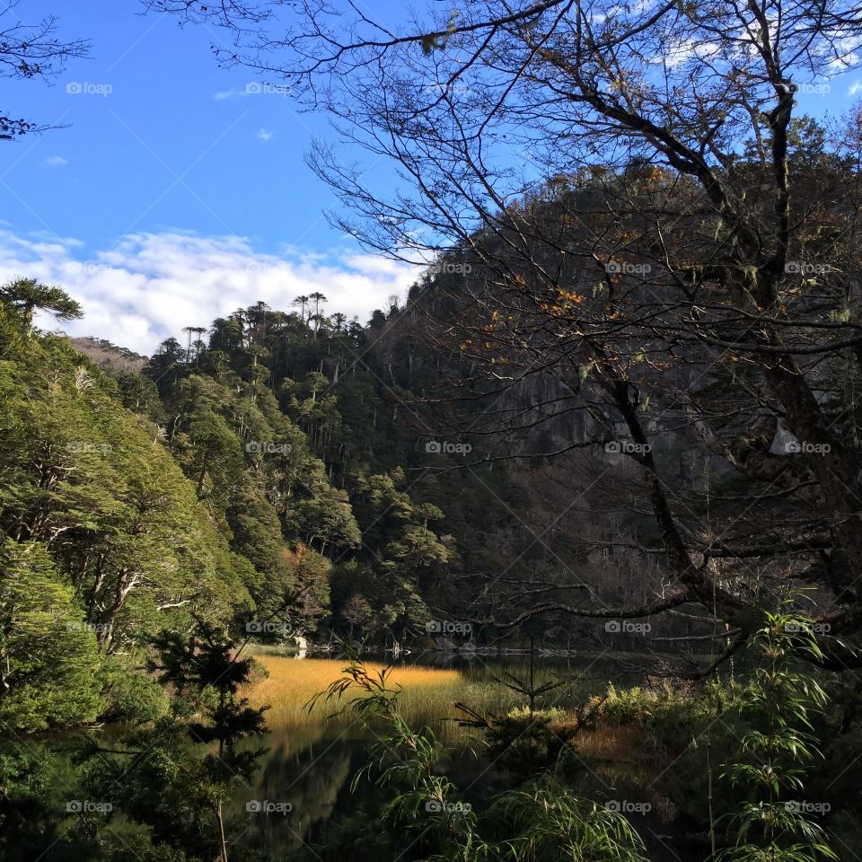 Hiking in southern Chile 