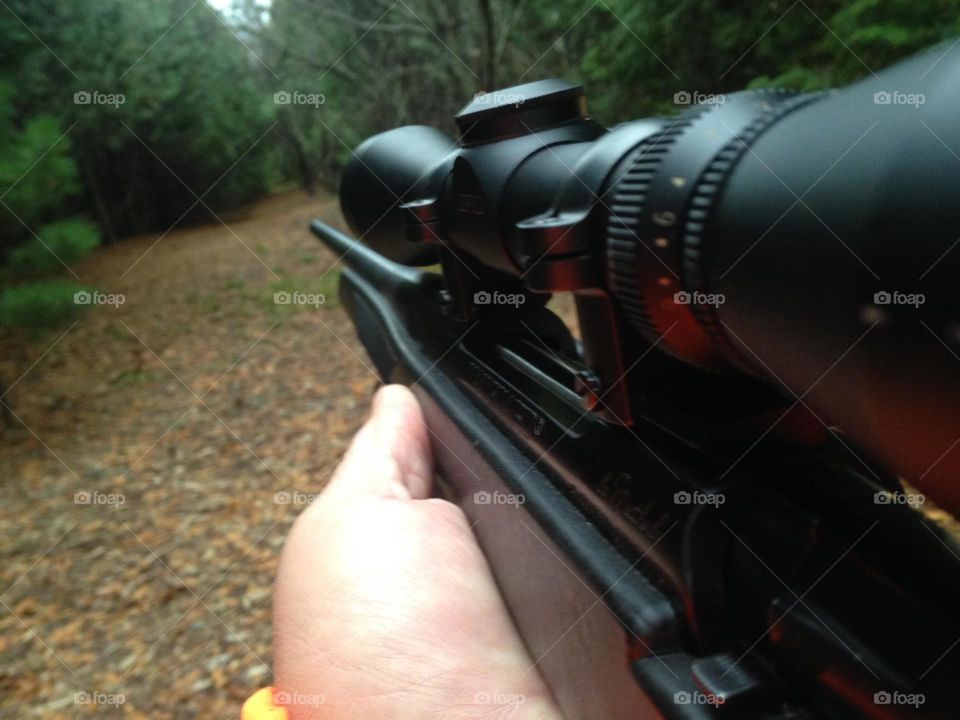 Gun shot in forest 