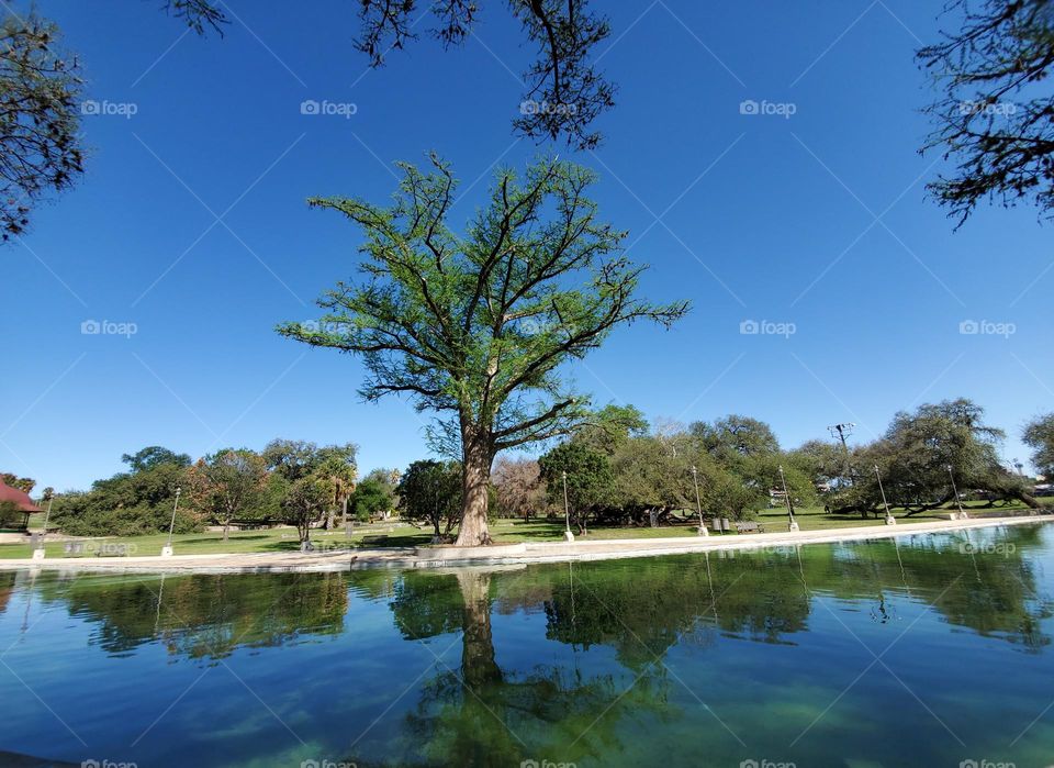 Tranquility by an all natural Spring fed pool at local city park with reflections in the water.