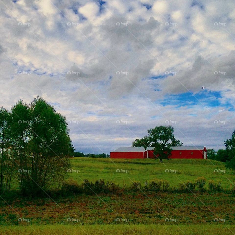 Barn