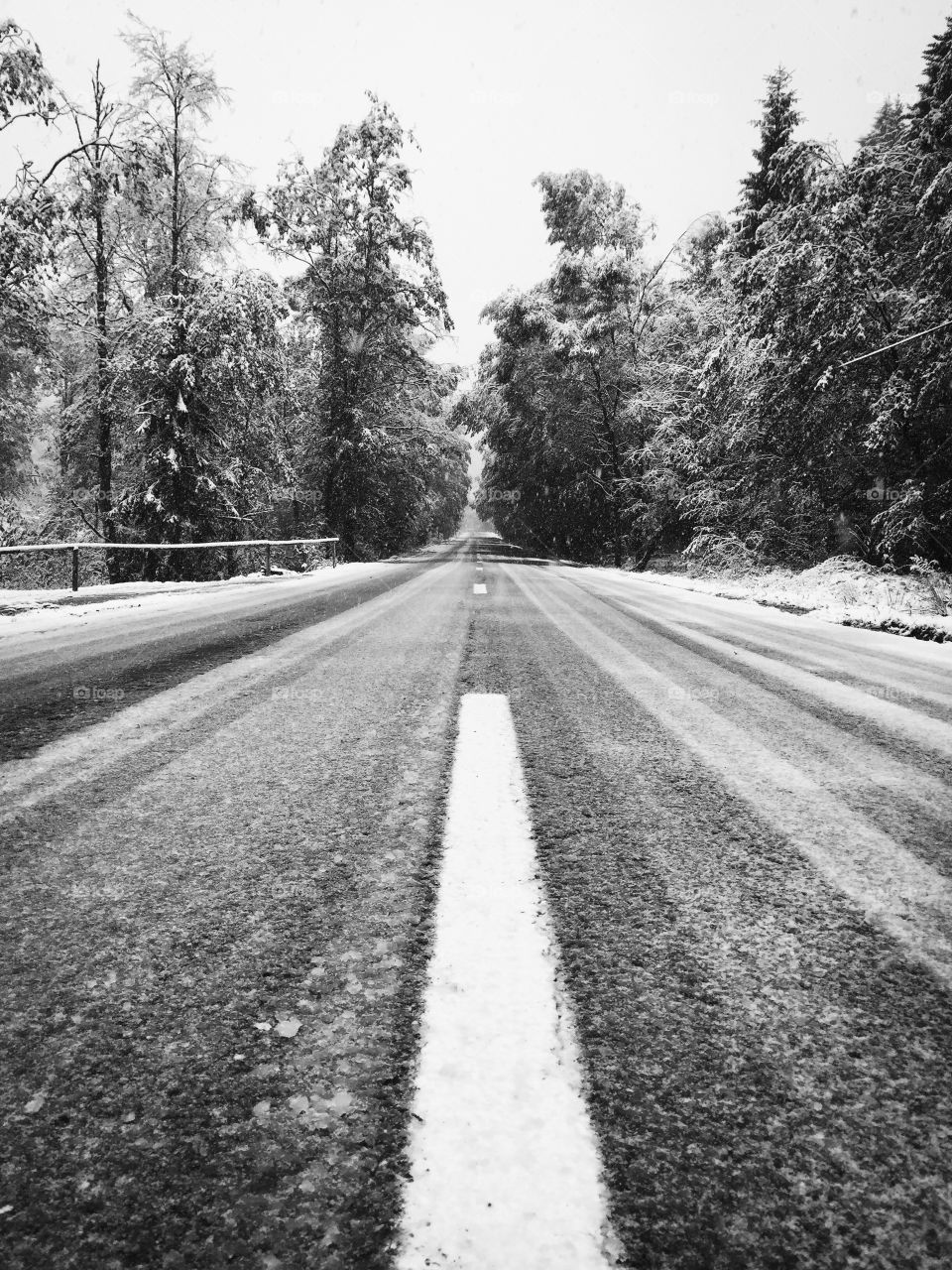 Empty road covered in snow surrounded by snowy forest of conifers 