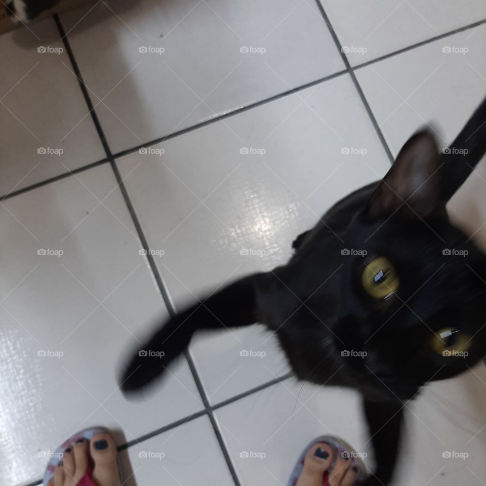 Pérola  pedindo colo.