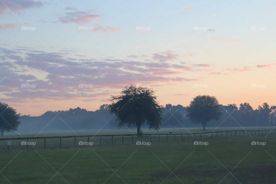 Sunset in the fields 