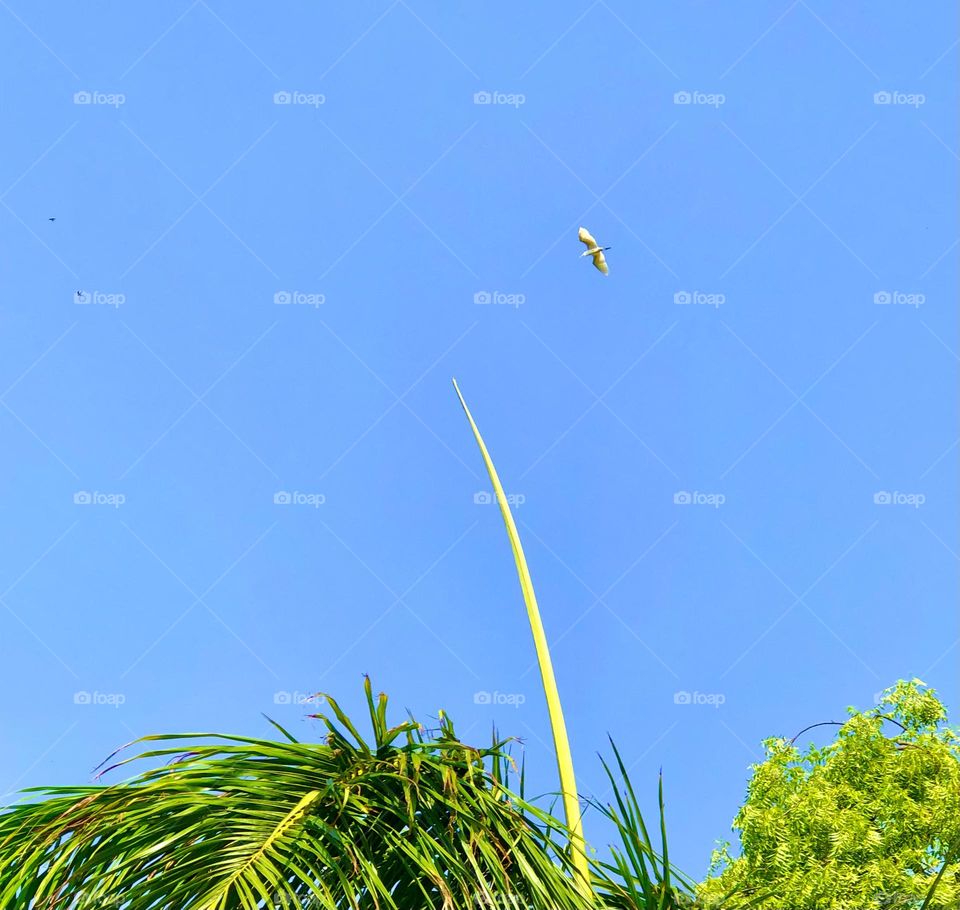 Upload the photo of the month