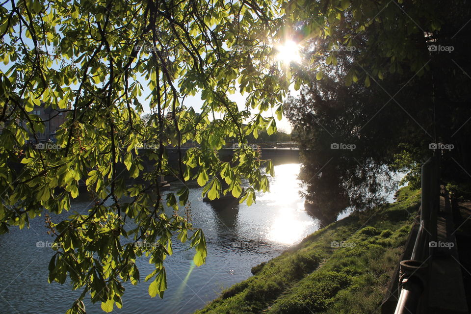 Brige. Sunset. Nature