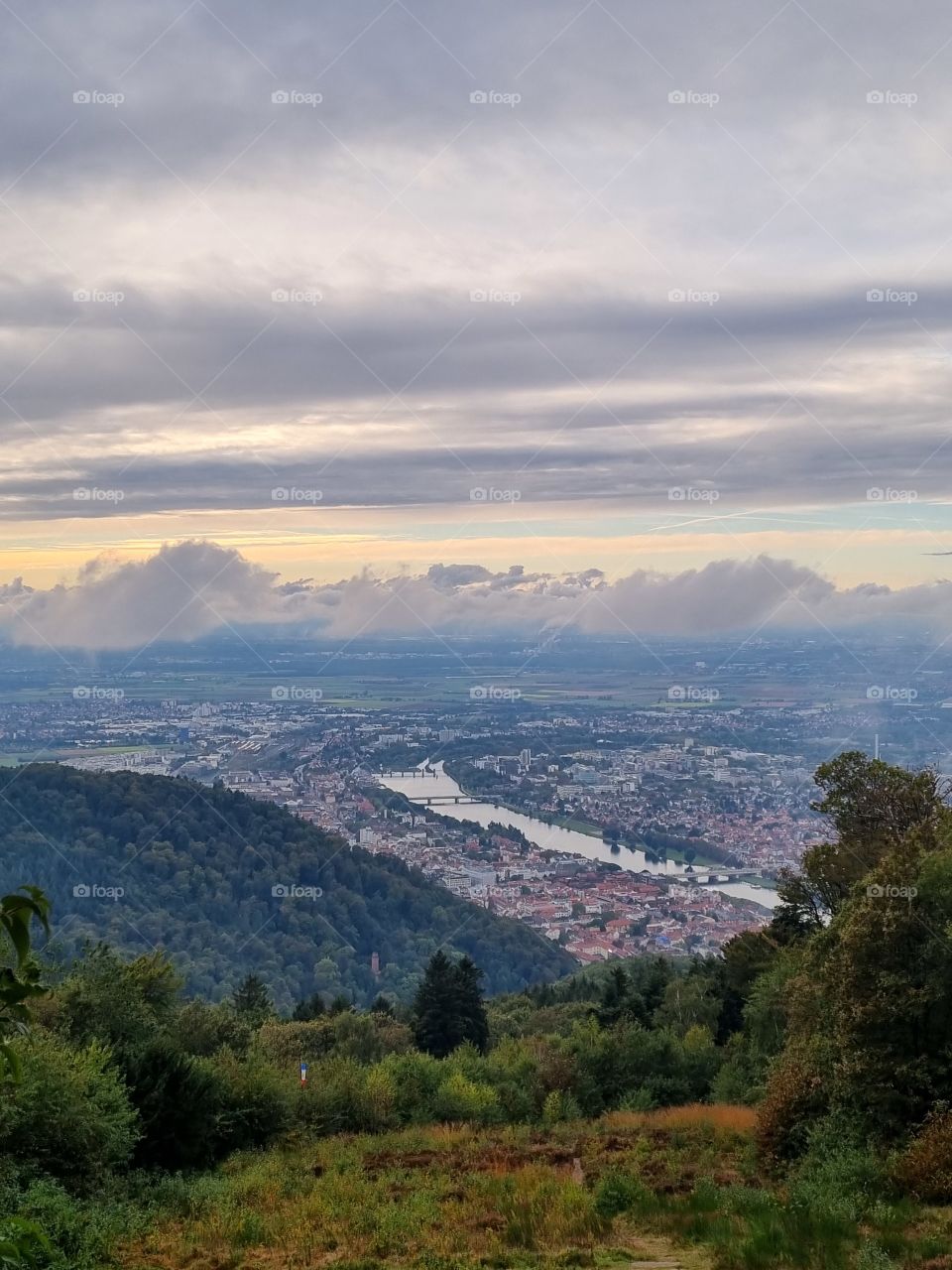 Heidelberg is a wonderland. Beautiful nature, gorgeous sights everywhere you turn around. I have never seen a more magical place. The nature and the city blend perfectly.