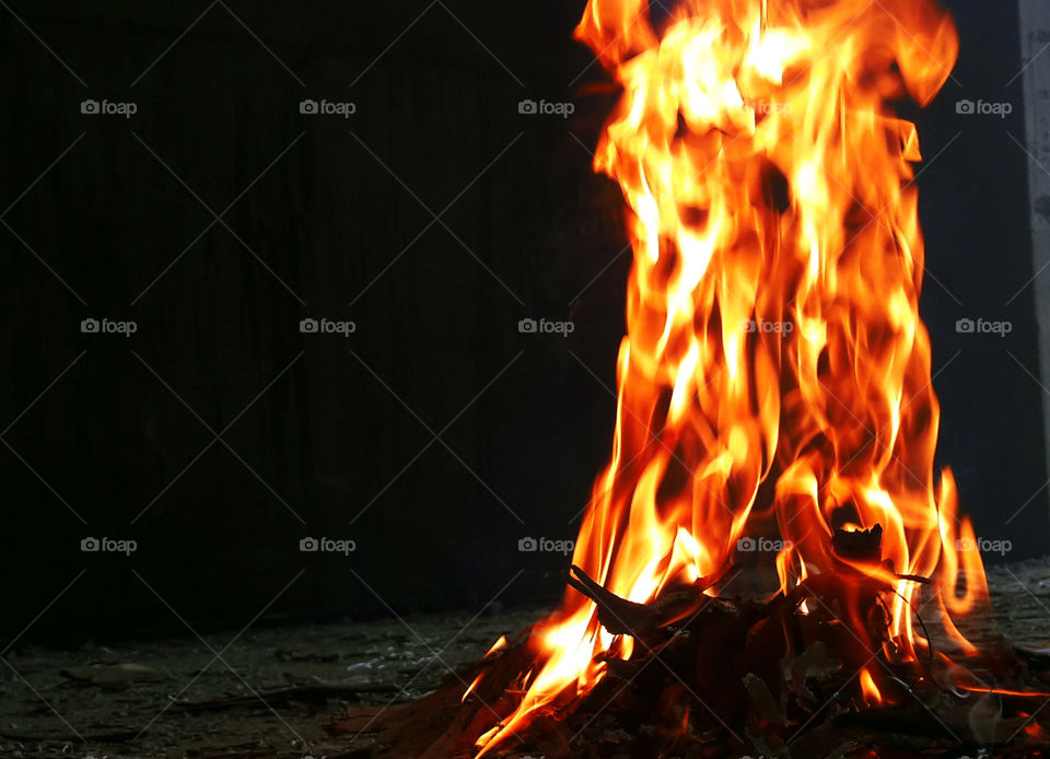 Close-up of fire at night