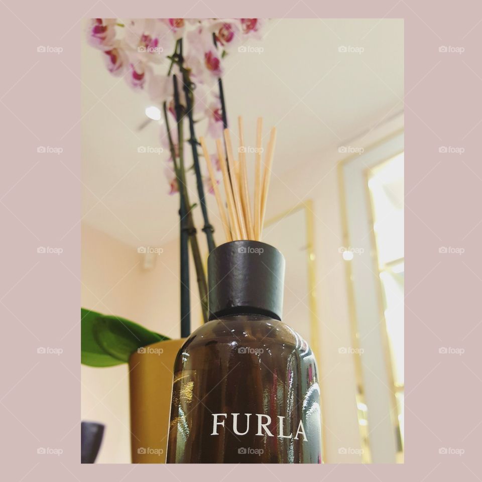 Bottle, Perfume, Aromatherapy, Flower, Oil