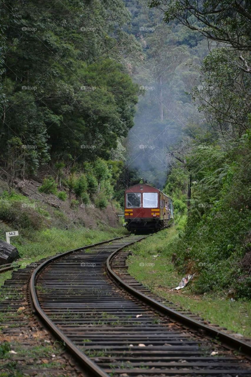 biutifl train road haputhla srilanka