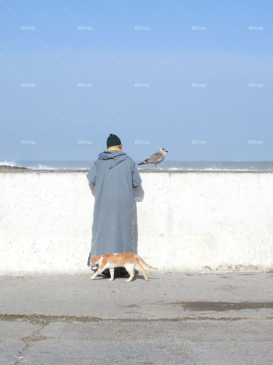 Old man by the sea