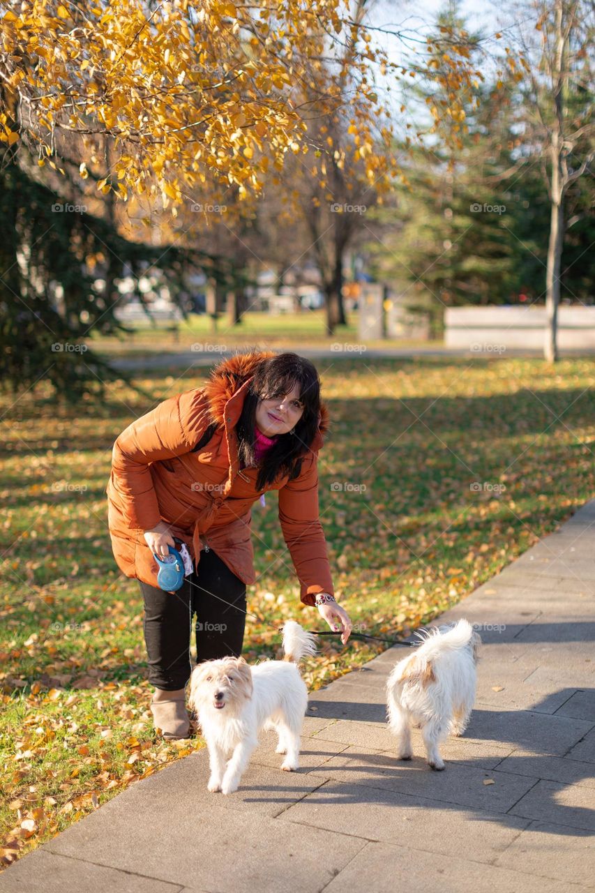 Taking a dogs to a walk