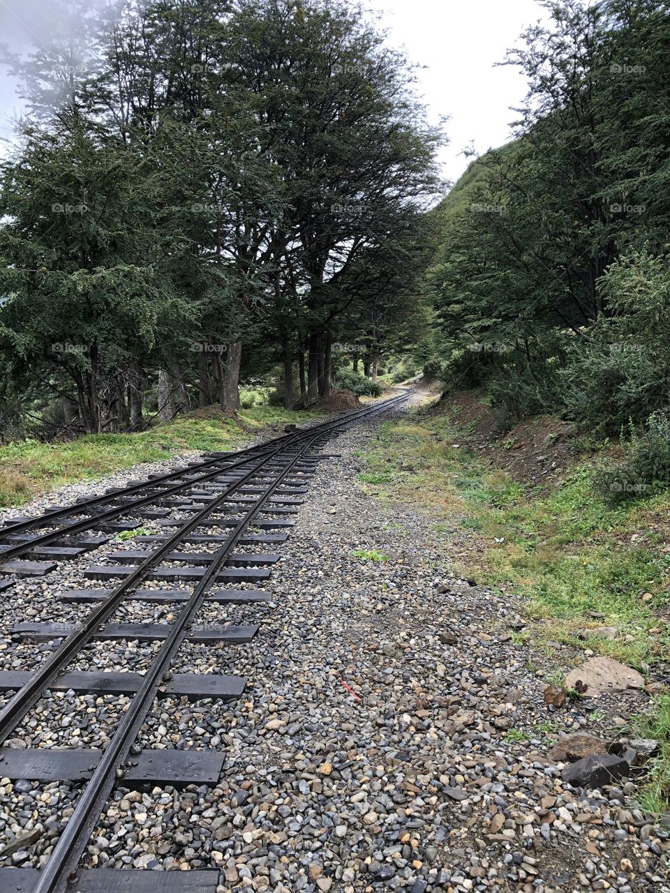 Paisaje Sur Tren Vías Ushuaia  Naturaleza Lejano