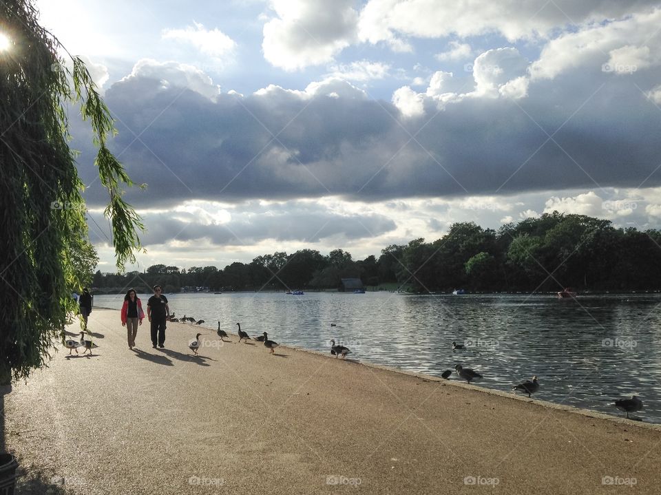Walk along the Serpentine lake, Hyde park