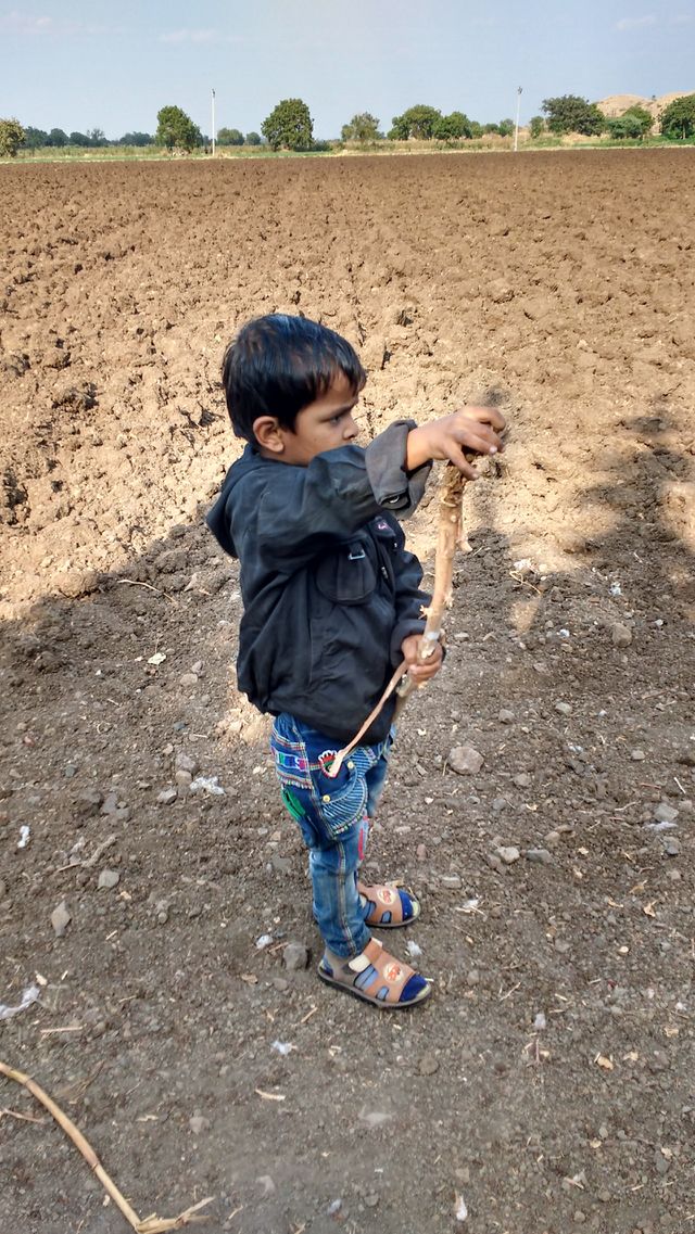 my farm littl