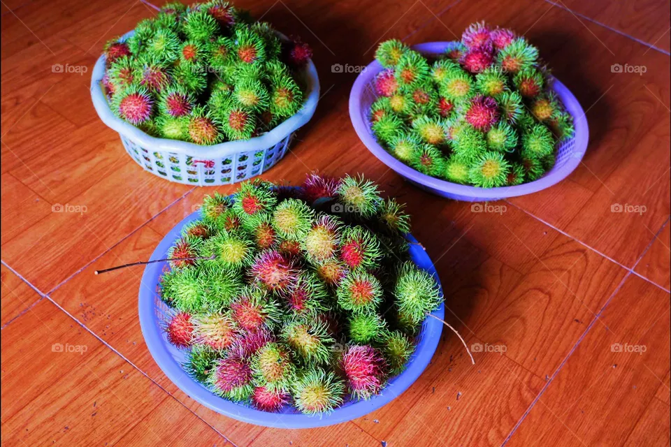 fruit